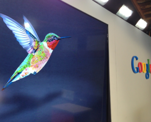 google hummingbird