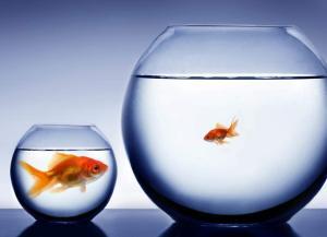 Why entrepreneurship behavior is important for your company