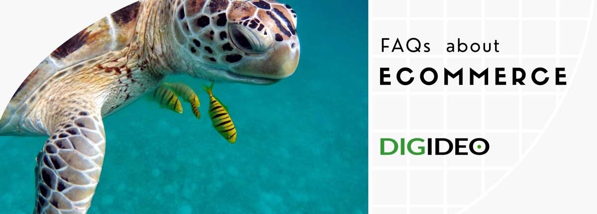 Typical eCommerce Faqs, common questions ecommerce