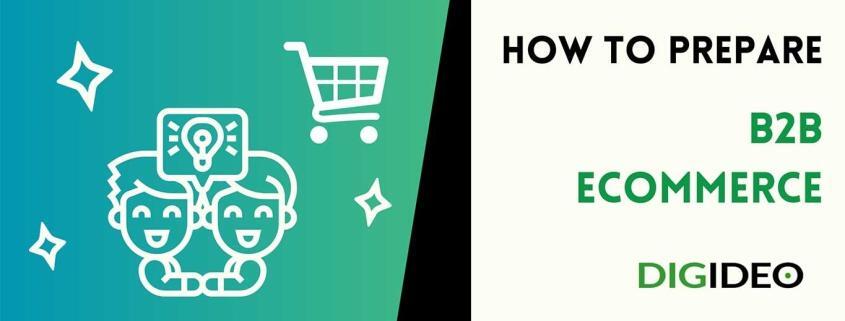 how to prepare B2B eCommerce business, B2B online shop