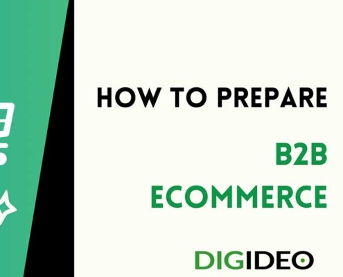 How to prepare B2B eCommerce business, B2B online shop
